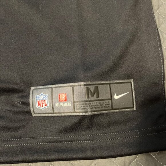 Men's Pittsburgh Steelers Jersey (Troy Polamalu) - Picture 6 of 7